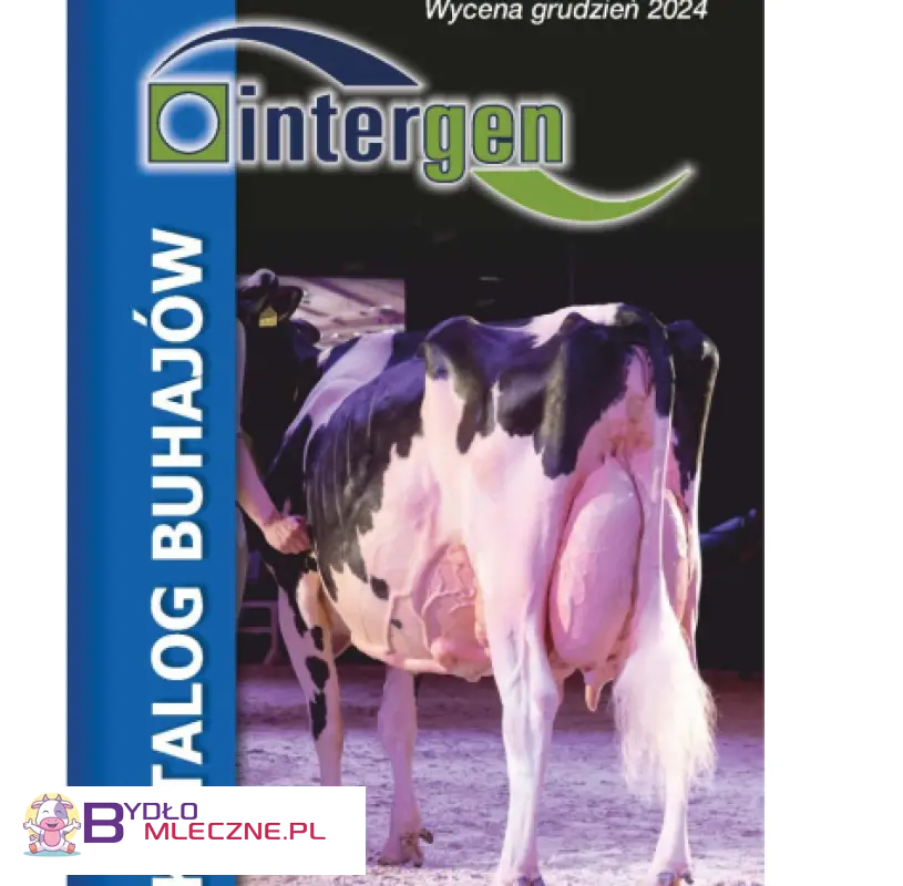 Okładka katalogu buhajów Intergen na grudzień 2024. Widoczna jest krowa rasy holsztyńsko-fryzyjskiej z dobrze rozwiniętym wymieniem, sfotografowana w warunkach hodowlanych. Po lewej stronie pionowy napis „Katalog buhajów”, a na górze logo Intergen.
