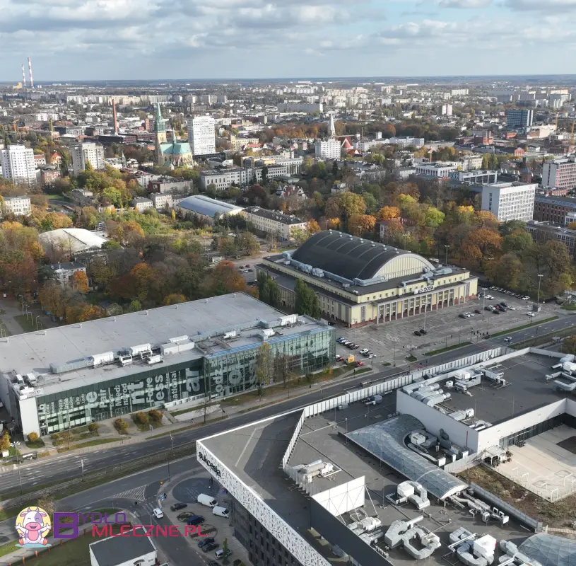 Panorama miasta z lotu ptaka ukazująca miejską zabudowę, hale targowe oraz tereny zielone w otoczeniu. Na pierwszym planie duży budynek z przeszkloną fasadą, obok klasyczna hala widowiskowa z półokrągłym dachem. W tle rozległa panorama miasta z licznymi budynkami mieszkalnymi i przemysłowymi. Jesienne kolory drzew dodają kontrastu do miejskiego krajobrazu.