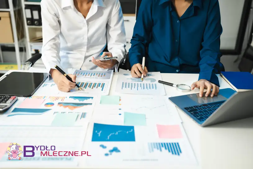 Dwóch specjalistów omawiających dane finansowe z wykresami, dokumentami i laptopem w biurowym otoczeniu.